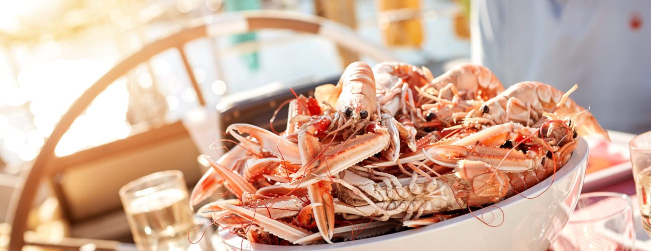 bohuslan_1479- Photo Cred Jonas Ingman