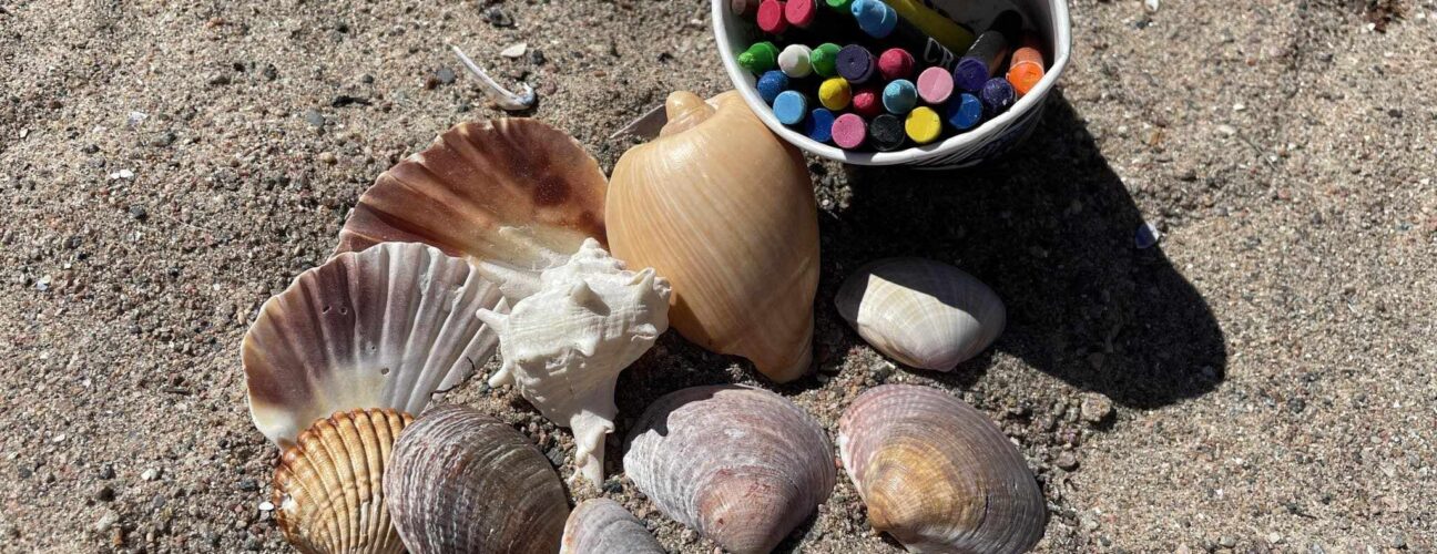 448374353_475105378776059_5960557272780736650_n