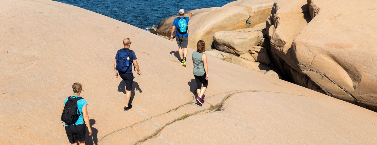 Ett gäng personer som har tagit del av Ramsvik vandringspaket och promenerar en solig dag.