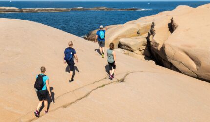 Ett gäng personer som har tagit del av Ramsvik vandringspaket och promenerar en solig dag.