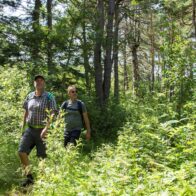 Två personer som vandrar i skogen.