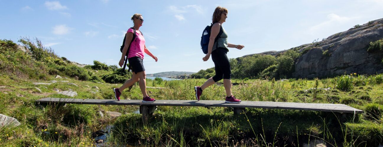 Två personer som vandrar i ett soligt landskap.