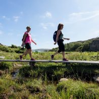 Två personer som vandrar i ett soligt landskap.