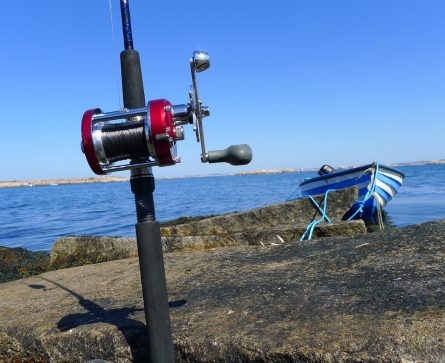 ba tutflykt p1060797