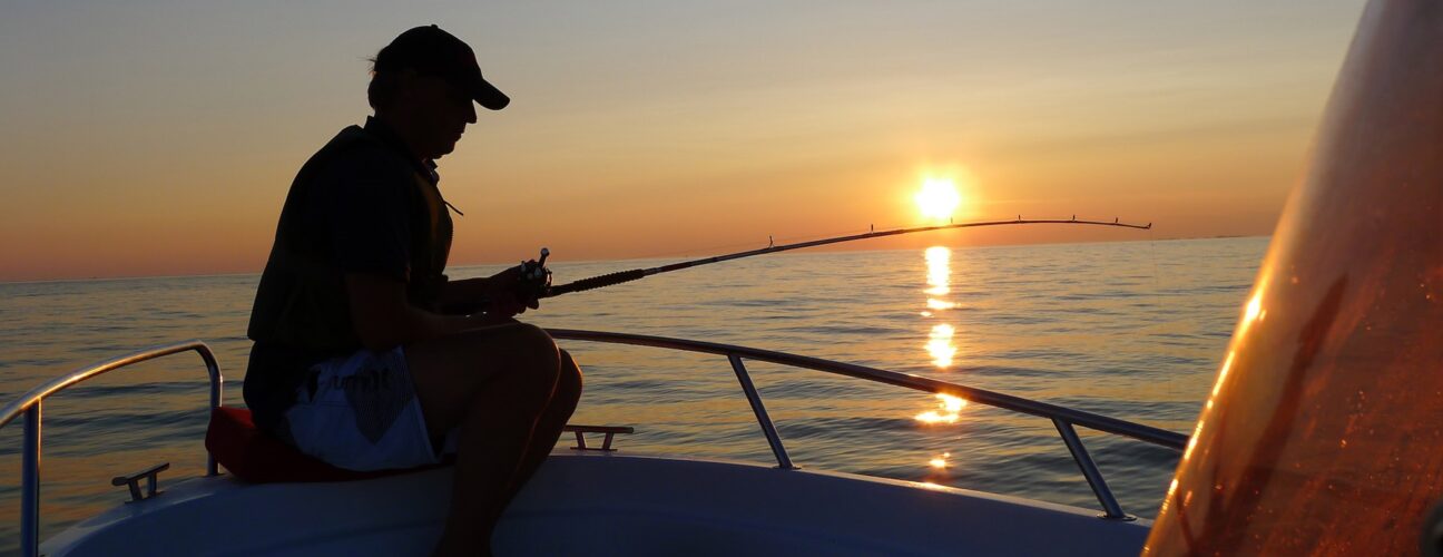Havsfiske i solnedgången.