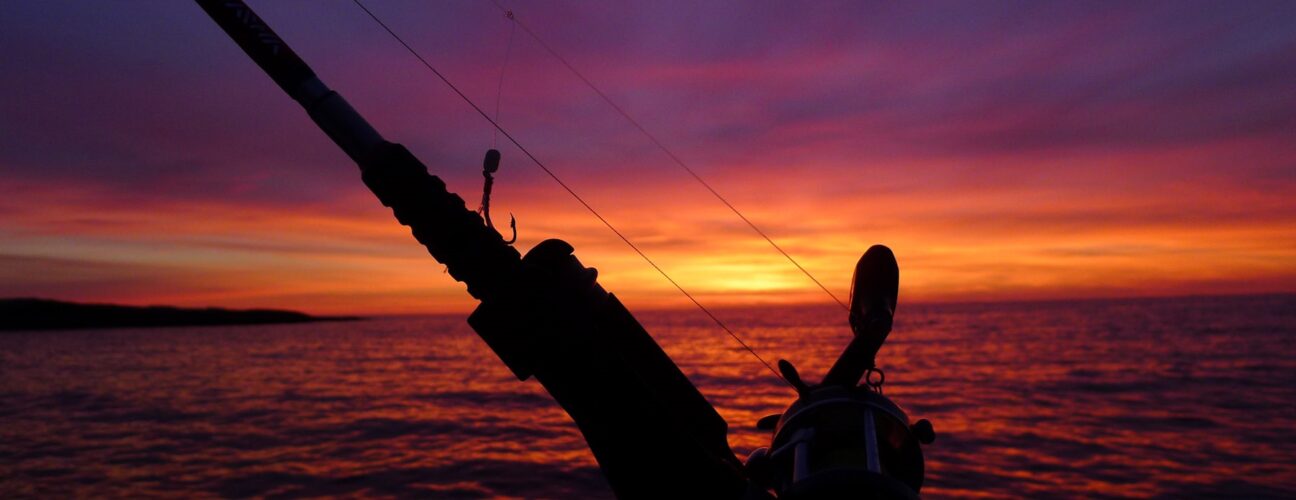 Havsfiske i solnedgången.