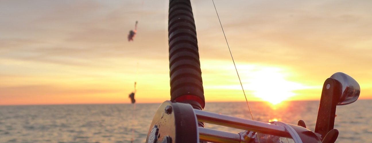 Närbild på en hand som håller i ett fiskespö. Havsfiske på Västkusten blir inte mycket bättre än så här.