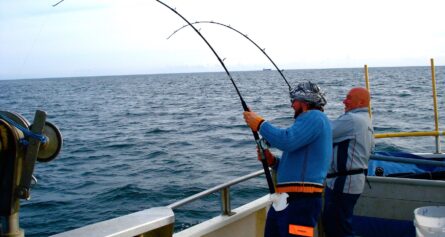 havsfisketur 14maj 2008 007