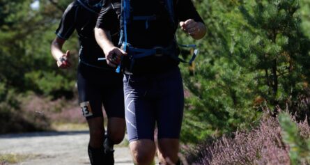 icebugxperience59 kopia