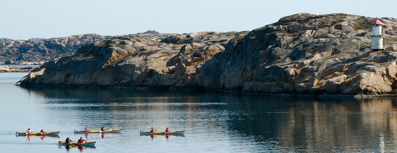 Kajaker och kanoter som glider längs med vattnet.
