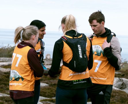 kollega 1 copy kopia